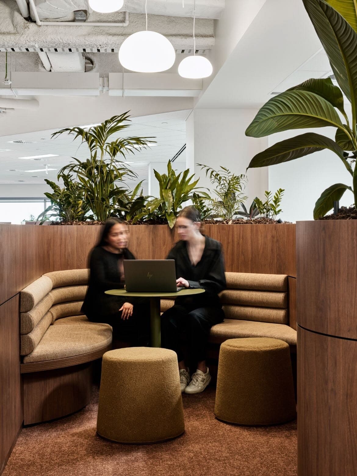 Dos personas conversando frente a un notebook en un sofá curvo de oficina, rodeadas de plantas