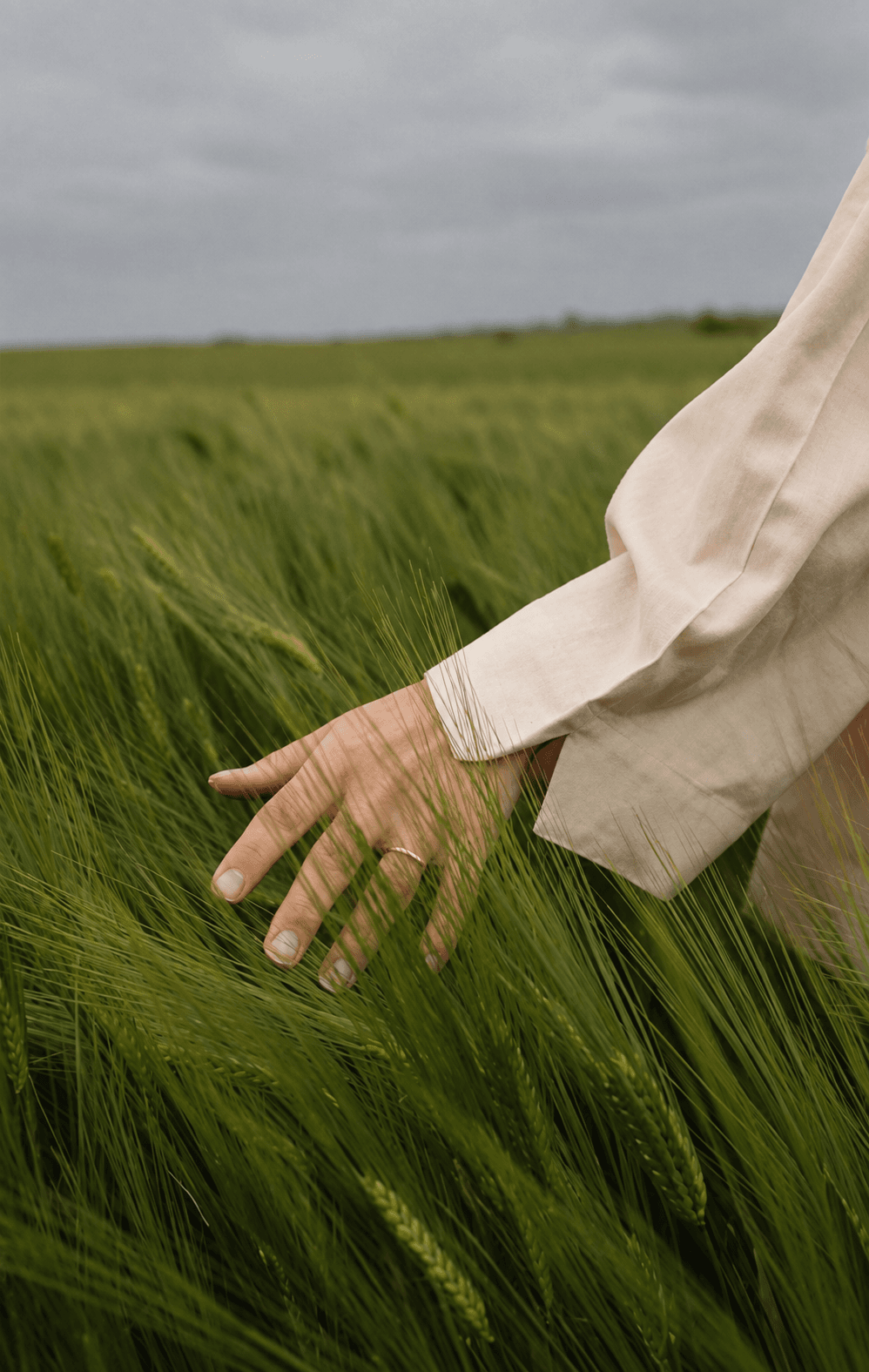 Mano rozando un campo de trigo